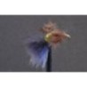 Wholesale Fishing Flies Per Dozen | Premium Trout & Bass Flies. Kenya Fishing Flies.