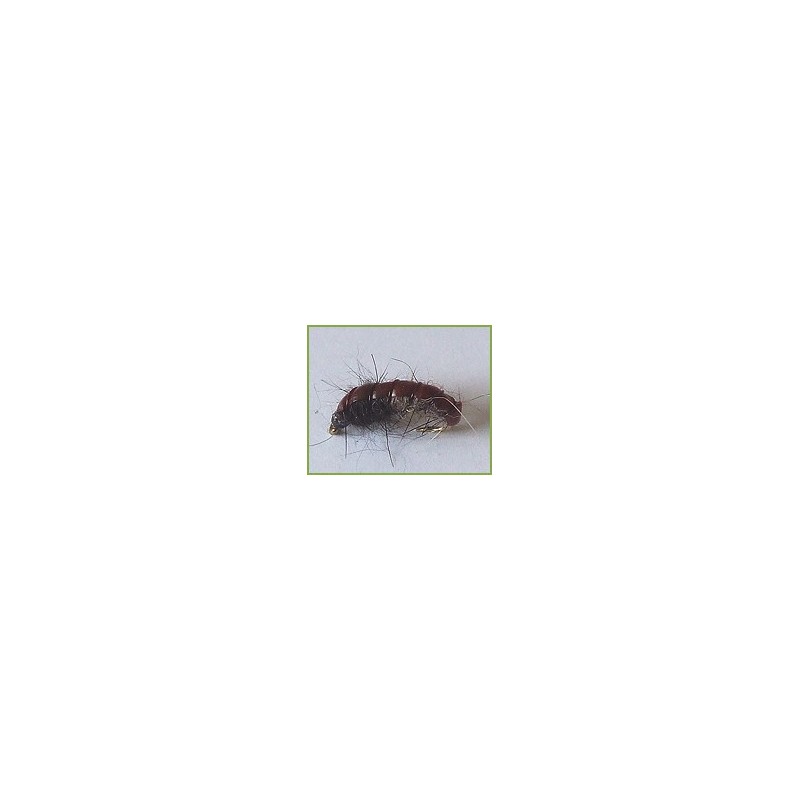 Wholesale Fishing Flies Per Dozen | Premium Trout & Bass Flies. Kenya Fishing Flies.