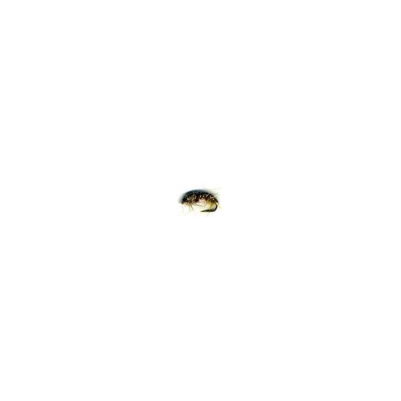 Wholesale Fishing Flies Per Dozen | Premium Trout & Bass Flies. Kenya Fishing Flies.