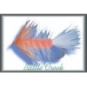 Wholesale Fishing Flies Per Dozen | Premium Trout & Bass Flies. Kenya Fishing Flies.