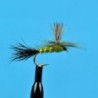 Wholesale Fishing Flies Per Dozen | Premium Trout & Bass Flies. Kenya Fishing Flies.
