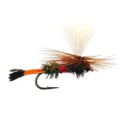 Wholesale Fishing Flies Per Dozen | Premium Trout & Bass Flies. Kenya Fishing Flies.