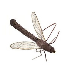 Wholesale Fishing Flies Per Dozen | Premium Trout & Bass Flies. Kenya Fishing Flies.