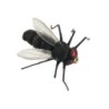 Wholesale Fishing Flies Per Dozen | Premium Trout & Bass Flies. Kenya Fishing Flies.