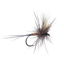 Wholesale Fishing Flies Per Dozen | Premium Trout & Bass Flies. Kenya Fishing Flies.
