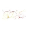 Wholesale Fishing Flies Per Dozen | Premium Trout & Bass Flies. Kenya Fishing Flies.