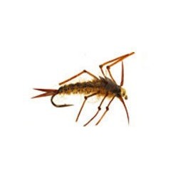 Wholesale Fishing Flies Per Dozen | Premium Trout & Bass Flies. Kenya Fishing Flies.