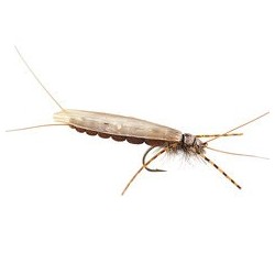 Wholesale Fishing Flies Per Dozen | Premium Trout & Bass Flies. Kenya Fishing Flies.