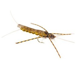 Wholesale Fishing Flies Per Dozen | Premium Trout & Bass Flies. Kenya Fishing Flies.