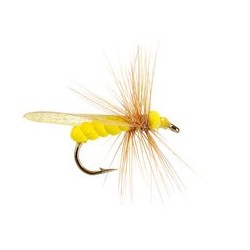 Wholesale Fishing Flies Per Dozen | Premium Trout & Bass Flies. Kenya Fishing Flies.
