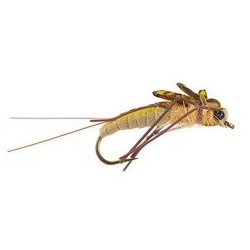 Wholesale Fishing Flies Per Dozen | Premium Trout & Bass Flies. Kenya Fishing Flies.
