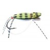 Wholesale Fishing Flies Per Dozen | Premium Trout & Bass Flies. Kenya Fishing Flies.